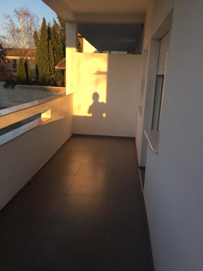 Viktor Apartment *